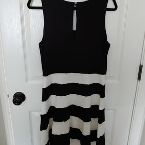 Express Skater Dress